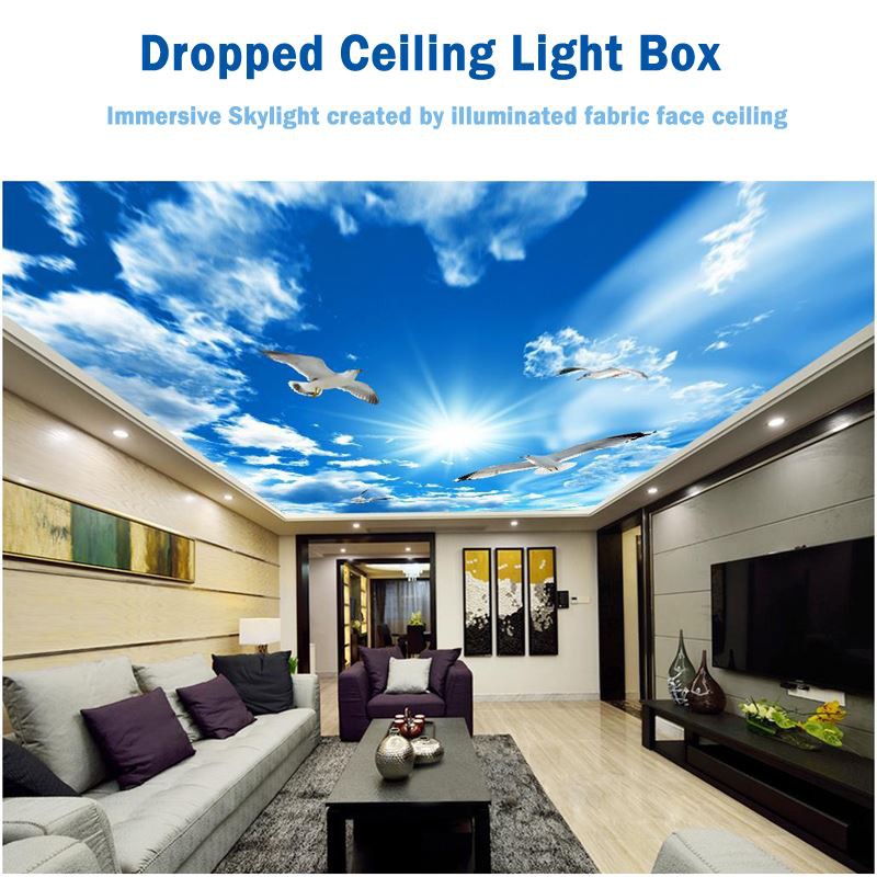 drop ceiling light box